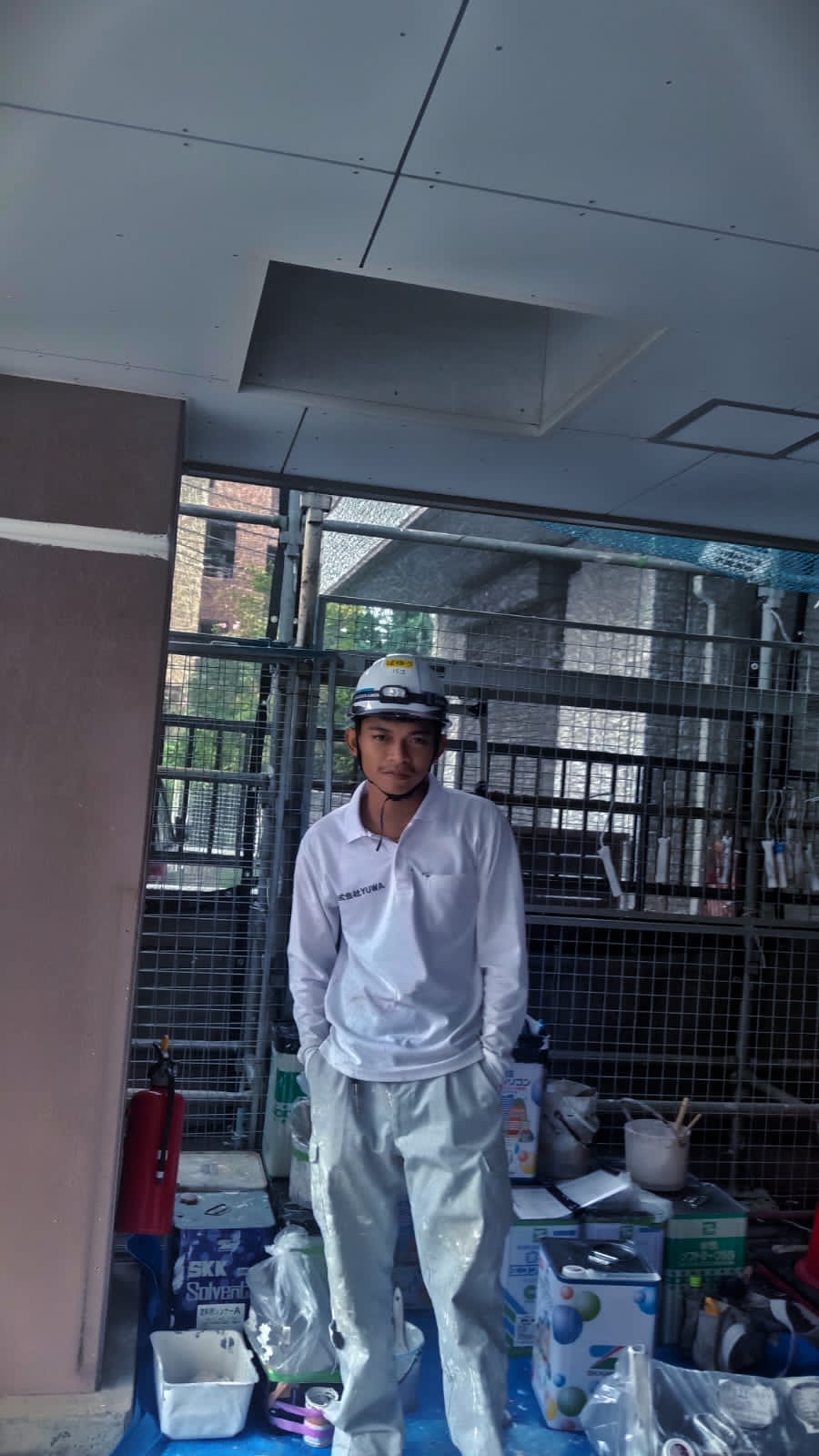 Work in Japan - Alumni 4